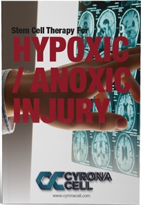 Hypoxic / Anoxic Injury eBook
