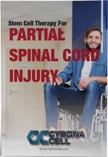 Spinal Cord Injury eBook